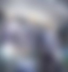 Latest WordPress News