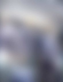 Latest WordPress News